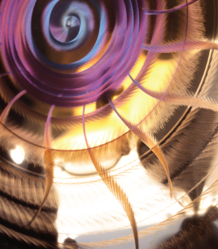 what are the benfits